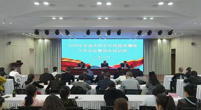 2026年全省市州文化馆提质增效工作