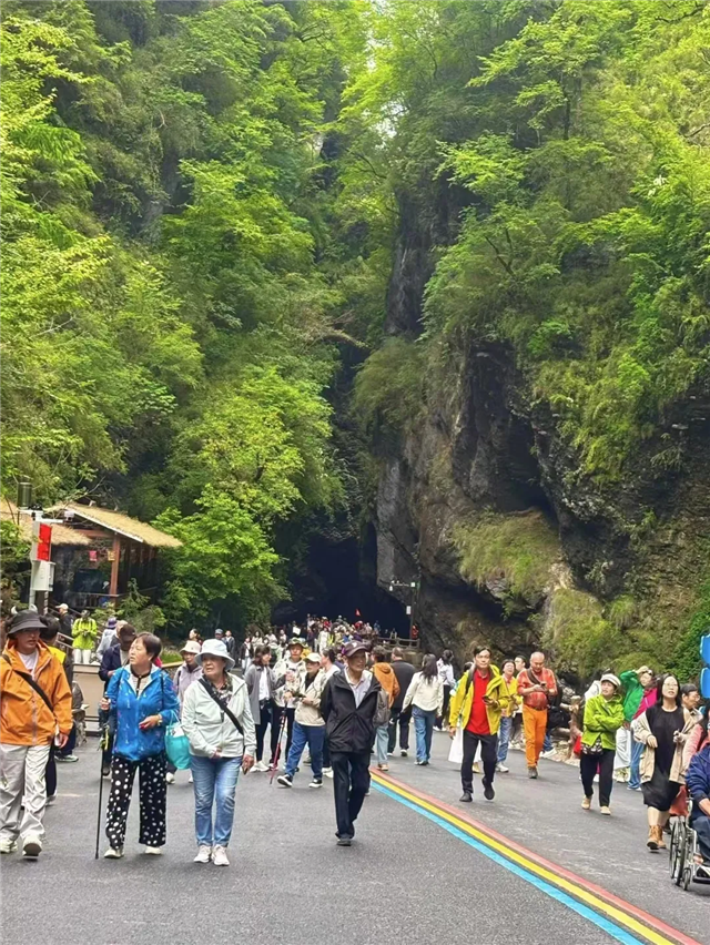 端午沉浸式文旅盛宴绘就陇南盛夏新风情