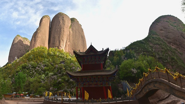 玉兰花开莫负天水好春光