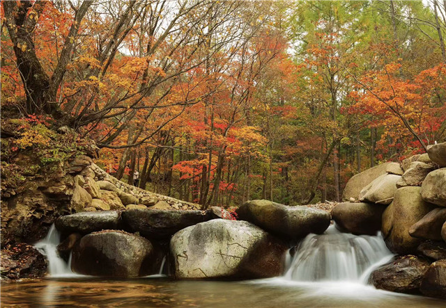 十月，定西把秋天画成了油画