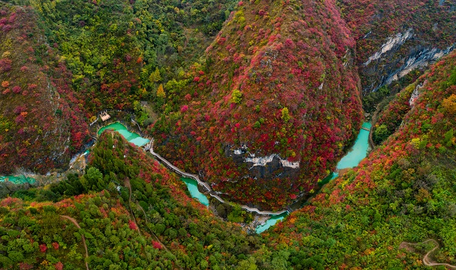 跟着节气游甘肃｜霜降至，在甘肃寻一抹