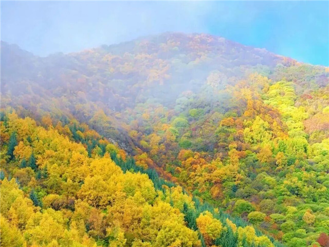 以东方美学观定西：黄土里的千年风雅