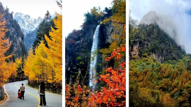 别再问11月去哪了，来陇南吧！