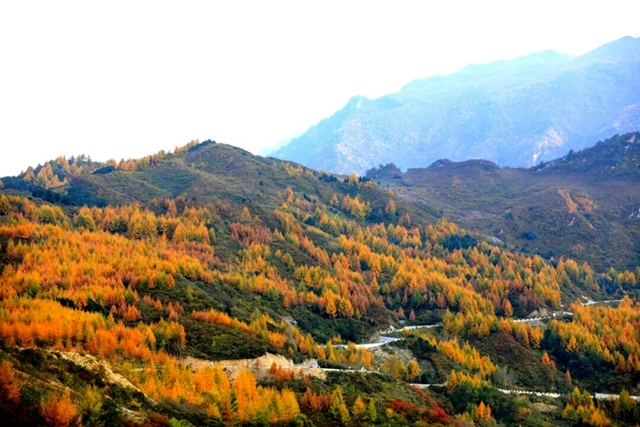 陇南秘境：秋末冬初的山水诗行