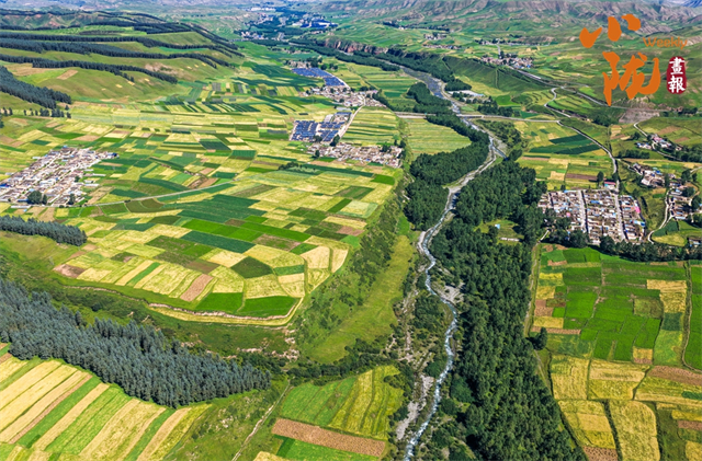 武威天祝哈溪：白雪绿林同框　冬日浪漫如画境