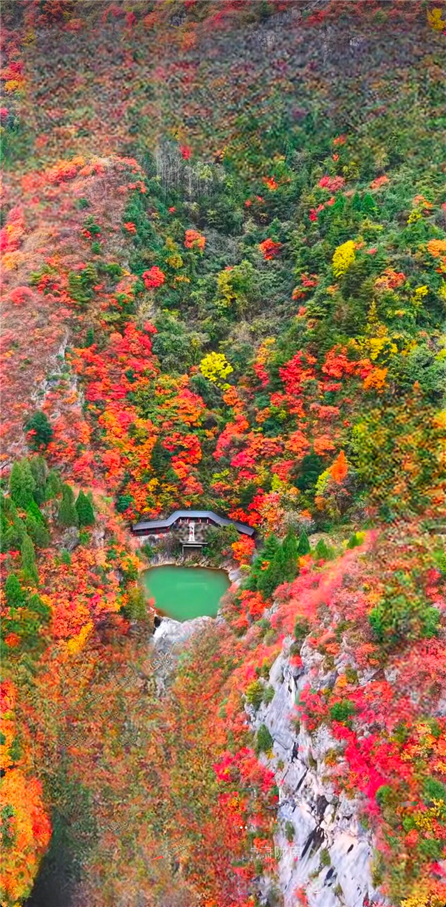 陇南诗行｜西狭颂秋韵，秦皇湖映色：山水与人文的对望