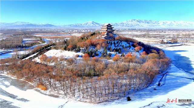 雪落临泽添冬韵　戏水天鹅画中画