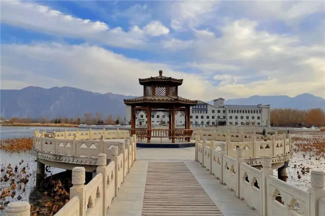 在白银水川湿地，与冬天第一次握手