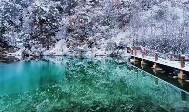 冬游陇南，邂逅冬日双重奏