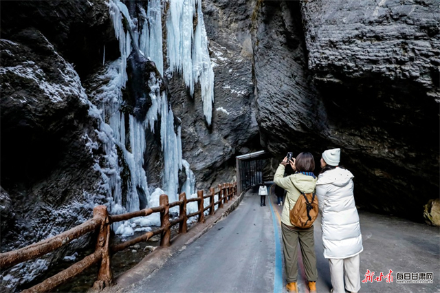 雪岭雾凇映冰帘　宕昌官鹅沟赏冰雪正当时