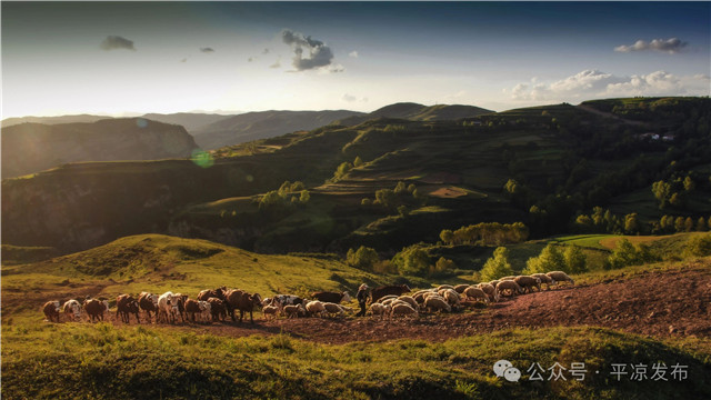 平凉，是个什么样的地方？