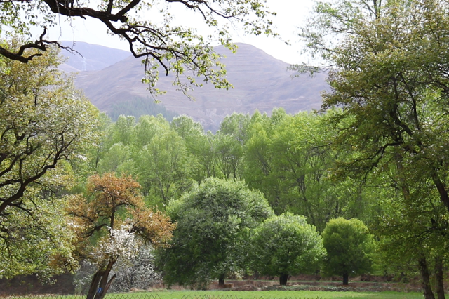 定西的四季盛景，藏着你不能错过的陇中浪漫