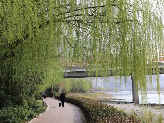 早春先至白龍江，一江碧水兩岸繁！