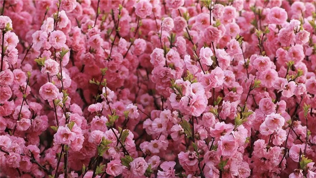 定西马上要美成这样了→