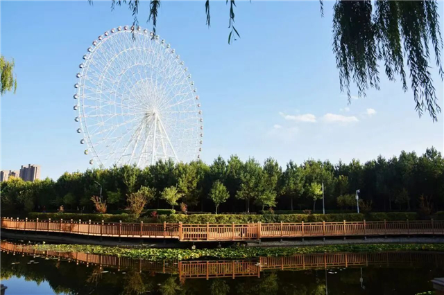 走啊，去踏青！武威的早春美好，藏在这一路风光里~