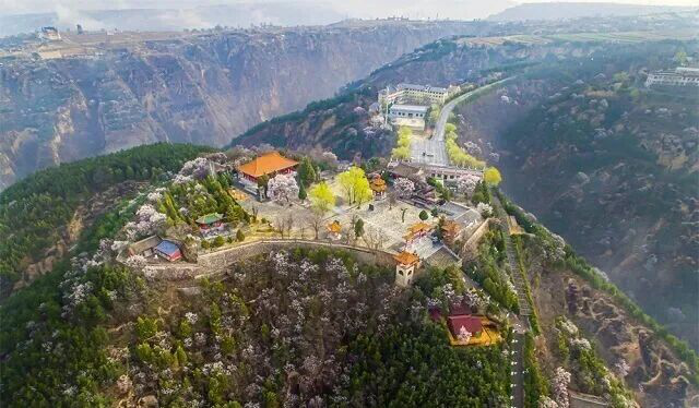 庆阳送你一个治愈系春天