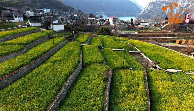 春到文县早　花开碧水间