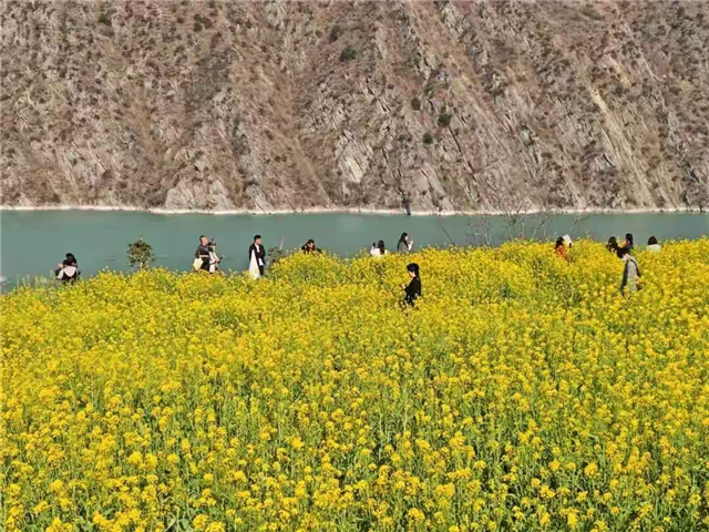 陇上江南的早春诗意