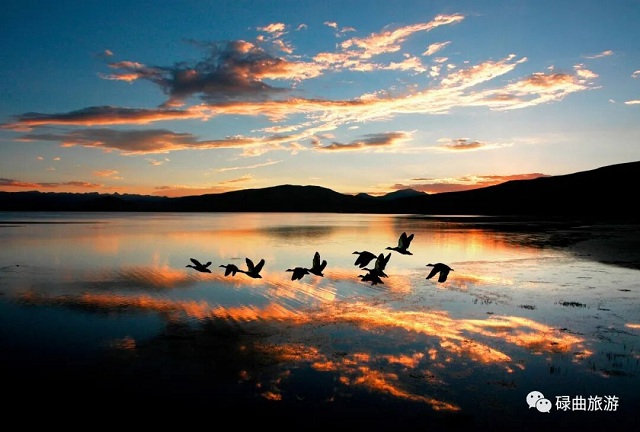 湖光水色里的甘南春韵