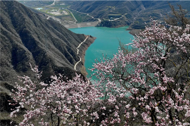 以诗为媒，以春为约，遇见平凉最美的春天！