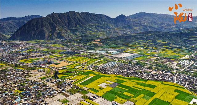 天水武山：花海与梯田共谱的田园交响