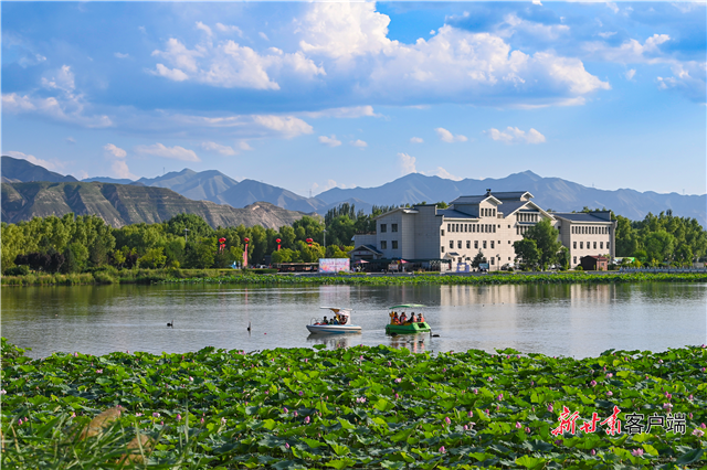 风过荷香起　水川湿地入画来