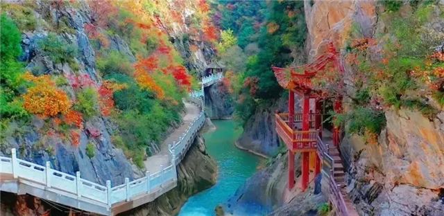 揽山水清欢，赴文脉烟火，邂逅陇南最温柔的深秋