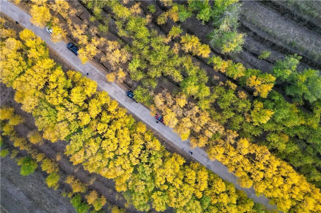 这，是定西秋天该拍的景致！