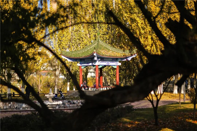 跟着诗词游兰州｜赴一场金城千年的诗意邀约（八）