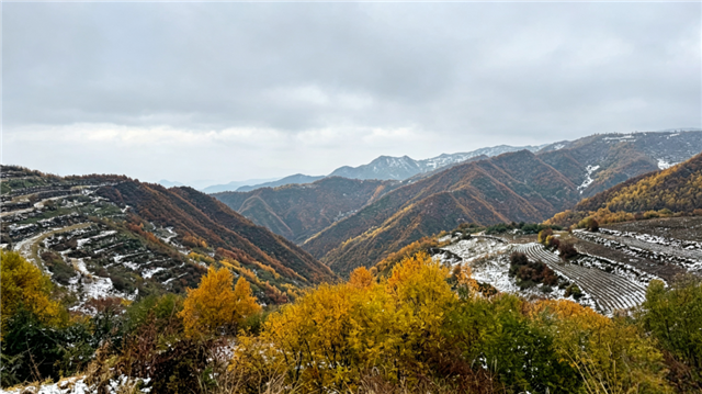 山野赴秋！周末解锁兰州近郊秋日盛景